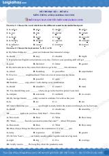 Đề thi học kì 1 Tiếng Anh 6 Global Success - Đề số 4